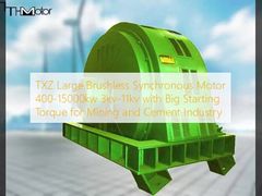 TXZ बड़े ब्रशलेस सिंक्रोनस मोटर 400-15000kw 3kv-11kv खनन और सीमेंट उद्योग के लिए बड़े स्टार्टिंग टॉर्क के साथ