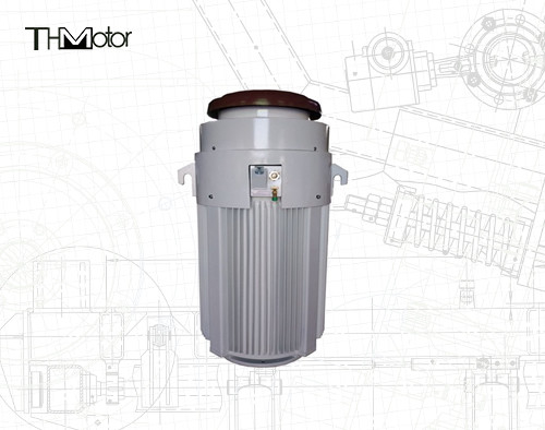 IE2 0-40C Special Application Motors 600V 600HP For Temperature Range