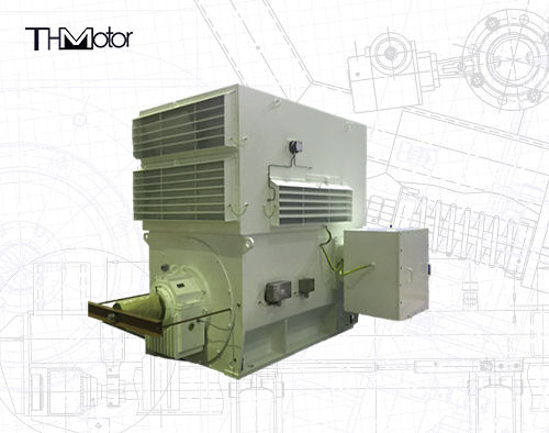 औद्योगिक उपयोग के लिए डब्ल्यूपीआई डब्ल्यूपीआईआई सीरीज तीन चरण इंडक्शन मोटर