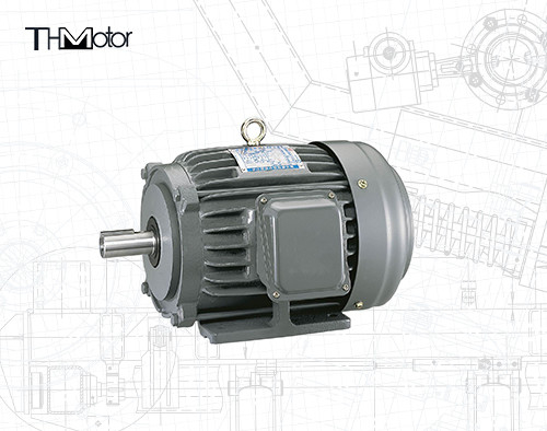 NEP TEFC NEMA High Voltage DC Motor IP55 For Blowers Conveyors