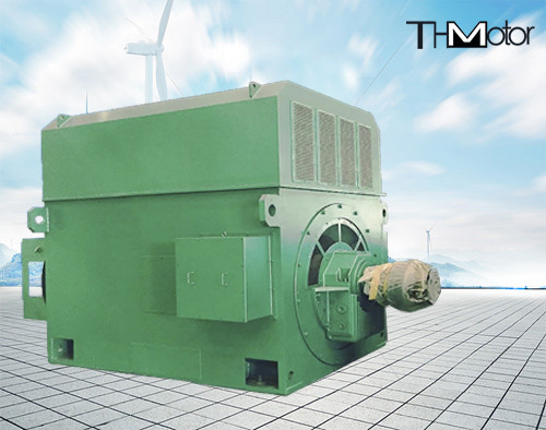 बिजली संयंत्र उच्च दक्षता वाले इलेक्ट्रिक मोटर्स 900kw 2500kw